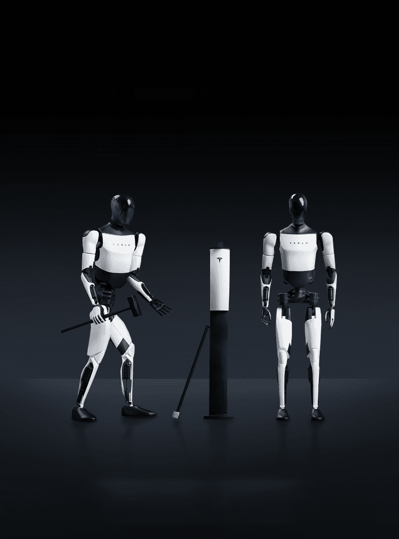 Tesla Life Bot Ornamental Humanoid Doll Robot - teskay