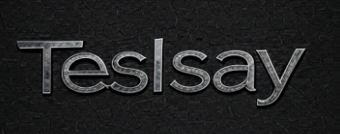 TESLSAY