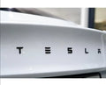 Tesla Model S/3/X/Y Lettered Emblem - Teskay