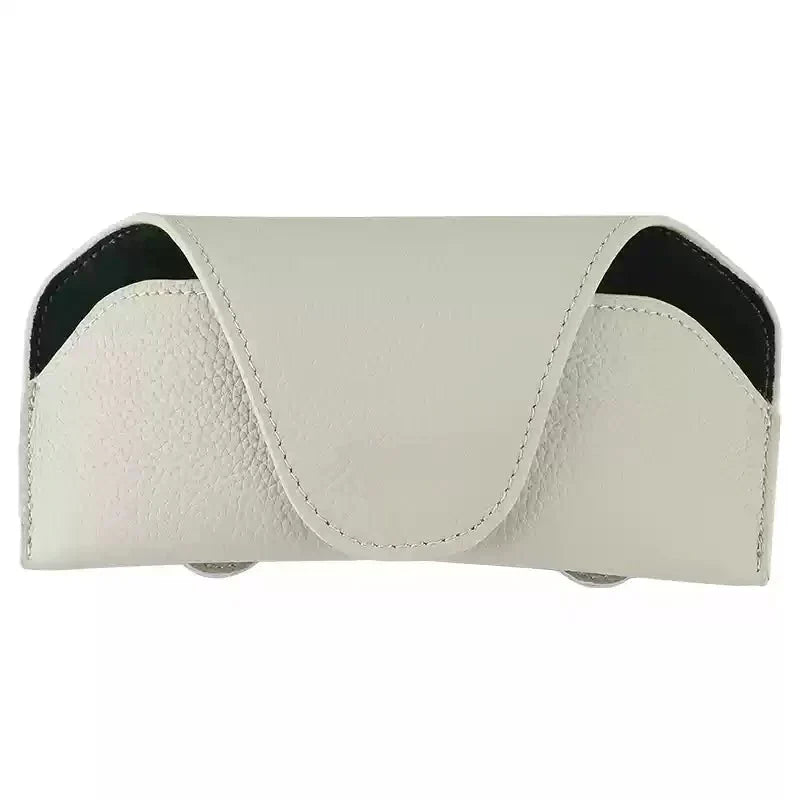 Premium Visor Glasses Case for Tesla - Teskay